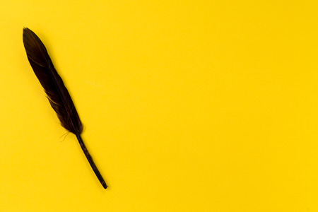 Quill or feather on solid yellow table background for presentation, writer or school education, blogger, novel and friction or brand story concept.の写真素材