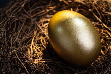 Closed up of shiny golden egg in nest with golden natural sun shine light metaphor of financial prosperity, precious return investment or savings and wealth for retirement concept.の写真素材