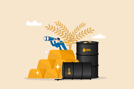 Commodities price for trading and investment, agriculture rice, crude oil and precious gold vision,...