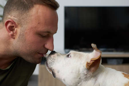 Man with a brown and white american staffordshire terrier dog giving a treat with his mouth in a homeの写真素材
