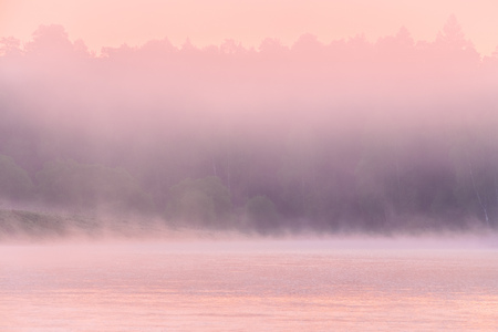 Milk-dense fog enveloping the water and the forest on the opposite bank of the river. Mysterious view. Fog with a pink shade, colored rays of the dawn sun.の写真素材