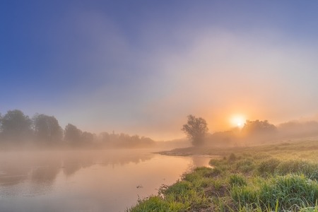 Colorful view of the river shrouded in mist creeping over the water. Orange sun slowly rising from the forest. Dawn cool morning. Grass with drops of dew and mist above the water like a haze.の写真素材