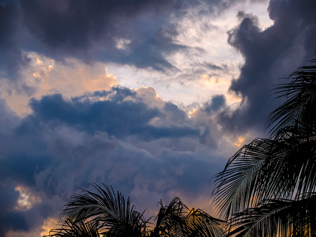 Heavy thunderclouds illuminated from the inside by orange sunlight above the palm leaves. Dramatic picture of nature.の写真素材