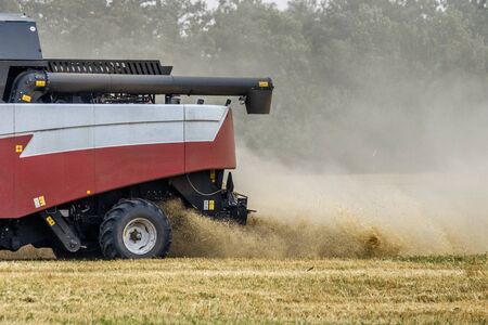 Harvester in dust clubs at work on the harvest of wheat on a huge field in the summer. People and...