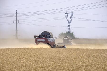 Agricultural combines in dust clubs harvest wheat on a huge field in the summer. Thus, the birth of...
