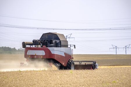 Harvester in dust clubs at work on the harvest of wheat on a huge field in the summer. Thus, the...