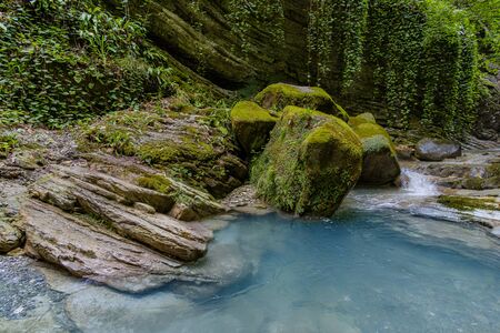Mountain river in the gorge and stones covered with moss. Waterfall and dense vegetation. Summer.の写真素材