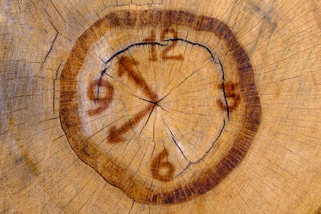 Imitation of the watch dial on the end of a wooden log. He sawed a dry cracked log with annual rings. Decorative natural clock.の写真素材
