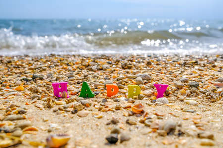 Selective focus on the word Happy from multicolored letters among sand and seashells on the seashore. In the background, sea waves. The concept of happiness and celebration during a seaside holidayの写真素材