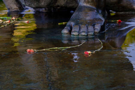 Red withered carnations lie on the wet stone surface. Dead flowers are reflected in the water. The...