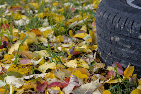 Selective focus on the tread of a car tire lying on the grass in an autumn day. Yellow fallen leaves are scattered around. Seasonal tire change concept.の写真素材