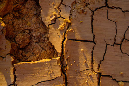 An overhead view of a natural mosaic formed by cracks in dry clay soil. Dead nature. Drought. Background and texture. Orange light of the setting sun. Copy spaceの写真素材