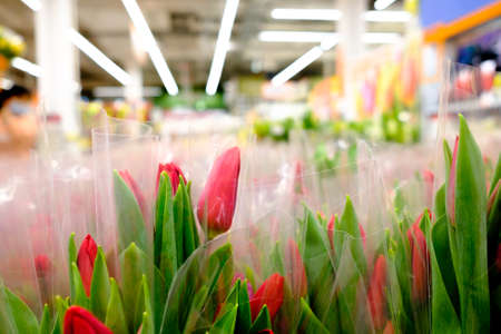 Buds of red tulips in bouquets, wrapped in transparent cellophane wrap. Selective focus. Spring flowers in a shop for women on Women's Day on March 8.の写真素材