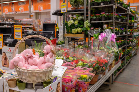 Moscow. Russia. 04 March 2021. Pink teddy bears in a basket against a background of colorful flowers in pots. Spring flowers and gifts for women in the store for Women's Day on March 8.のeditorial素材