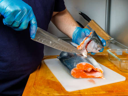 The hands of a male cook in hygienic gloves cut off the head of a salmon with a knife. Cutting fresh fish in the kitchen on a cutting board.の写真素材
