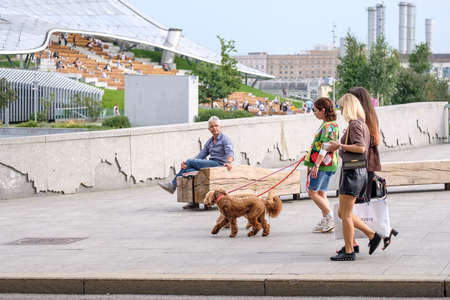 Moscow. Russia. August 1, 2021. Female friends enjoy a walk with their poodles on a city street.のeditorial素材