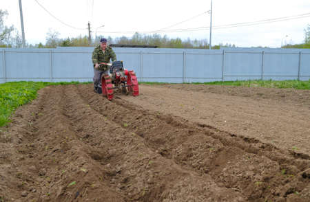 A man cultivates a field with a walk-behind tractor. Agricultural work in the garden.の写真素材