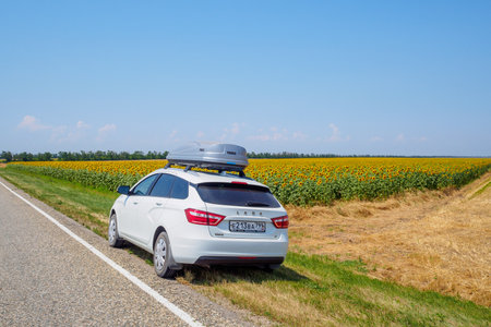 Krasnodar region. Russia. August 10, 2021. White car Lada Vesta with a cargo box on the roof on the side of the road among the fields of blooming sunflowers. Car travel concept.のeditorial素材