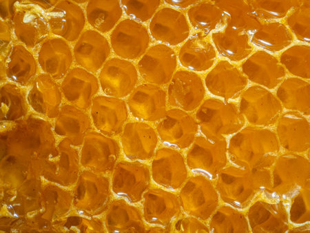 Close-up honeycombs filled with sweet fragrant honey.の写真素材