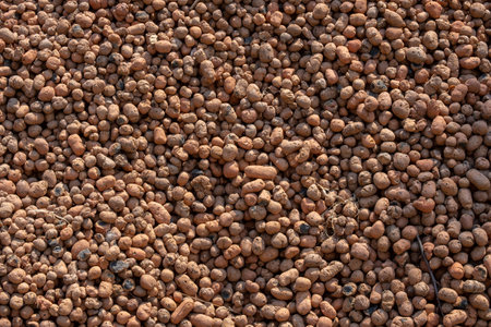 Top view of expanded clay texture background in sunlight.の写真素材