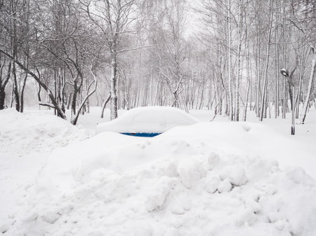 A car covered with snow on the roof against the background of trees during a snowfall.の写真素材