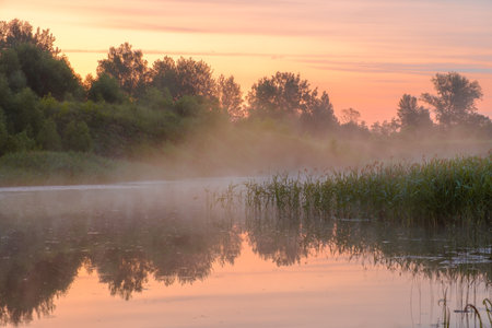 Fog over the river at sunrise. High quality photoの写真素材
