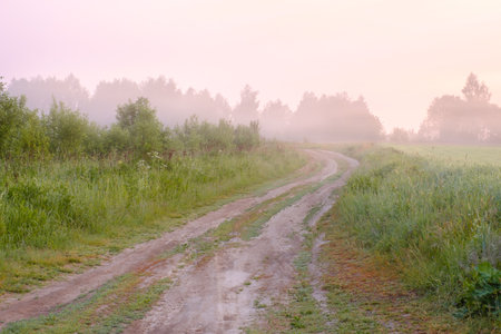 Rural landscape with a winding dirt road leading into the distance into the fog.の写真素材