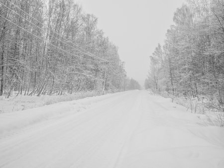 Winter road through a snowy forest during a snowfall. A snow-covered road stretching into the distance on a winter day.の写真素材