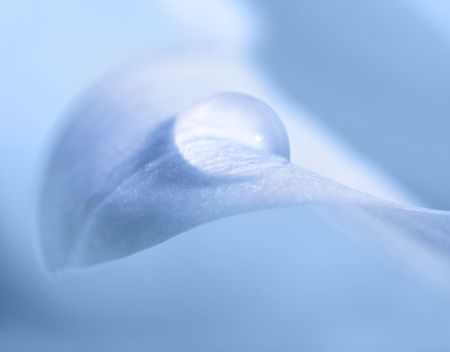 close-up image of drop on the petalの写真素材