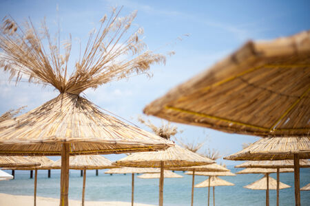 Image of straw parasols on the beachの写真素材