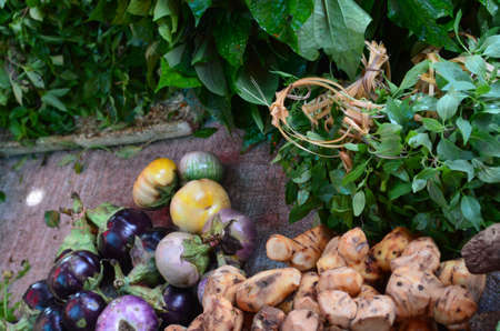 Exotic fruit and vegetablesの写真素材