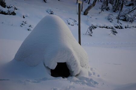 An igloo made on holidays in the snow. The entrance is visible. Snow covered trees and bushes are in the background.の写真素材