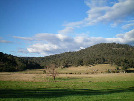 An Australian landscape, with gently rolling hills covered with trees.  Cows with their calves can be seen in the paddock. A deep shadow lies across the foreground. The sky is blue with grey clouds.の写真素材