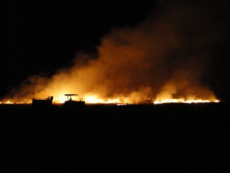 A night-time shot of a burning cane-field. The fire and smoke rise against a black background. A tractor and a dog are silhouetted by the fire.の写真素材