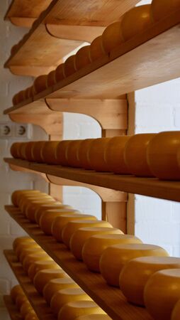 Whole rounds of cheeses stored on shelves. The cheeses are yellow. The wooden shelves are brown, and a white brick wall is in the distance. The rows form a geometrical pattern.の写真素材