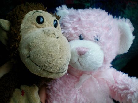 A close up of two old soft toys - a pink teddy bear and a brown monkey.の写真素材