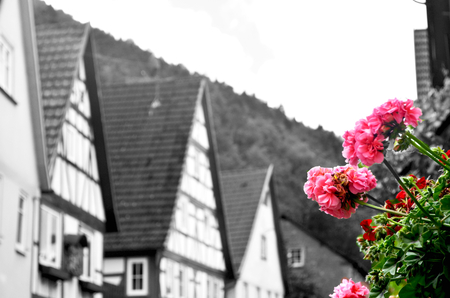 A black and white photograph of a Bavarian village. The houses have high sloping roofs and wooden detailing. Red and pink geraniums are in a window box.の写真素材