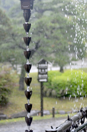 Rain drops are seen as white dots as they fall beside a rain chain. Water is also flowing between the delicate metal flowers of the chain. In the background is a park, bordered by a path with a wooden sign.の写真素材