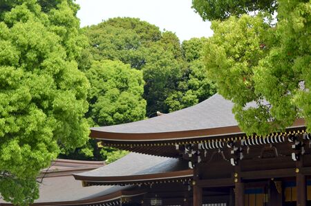 The classic curving roof of a Japanese temple, made of wood and grey tiles. Trees covered in lush green leaves surround the temple.の写真素材