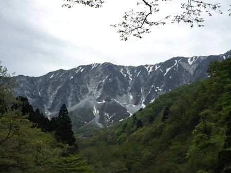 A dense green forest stands at the foot of a mountain range. Patches of snow are on the mountain slopes. The sky is overcast. A tree branch covered in leaves frames the view.の写真素材