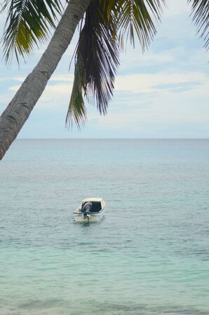 A motor boat is anchored just off a tropical beach. A palm tree frames the view. The blue water is calm as it stretches to the horizon. The sky has soft white clouds.の写真素材