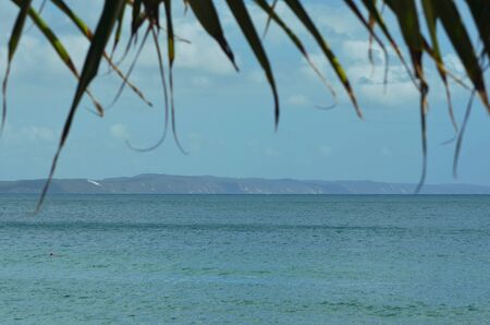 Fronds of a plam tree frame the view. A bay of water is bordered in the distance by a tree-covered headland. A red bouy marking some rocks is just visible.の写真素材