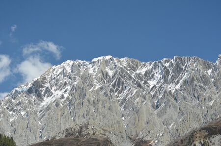 Snow capped mountains in Ladakh form part of the Himalayas. Some pine trees are to one side. The sky is blue with faint white clouds.の写真素材