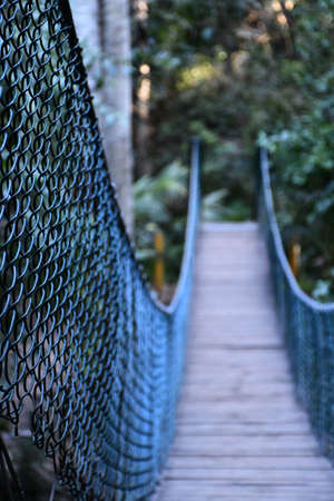 A wooden suspension footbridge has dark metal mesh railings. The focus is on the foreground, with the end of the bridge leading into a forest out of focus.の写真素材