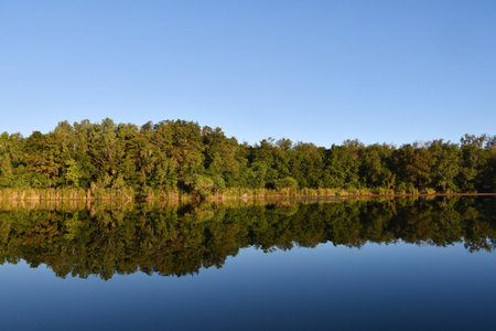 A river bank of grass and dense trees is reflected in the still blue water of a river. The sky is blue, with no clouds.の写真素材