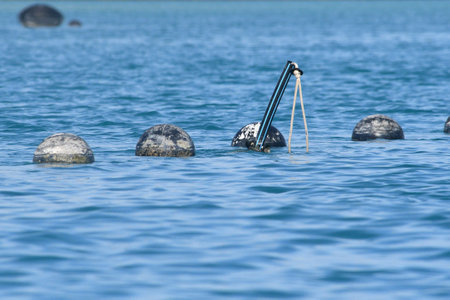 A line of bouys with a marker made from black and blue polypipe are seen floating in the ocean. The water is blue. A small dingy is in the distance.の写真素材