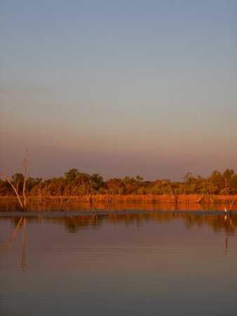 Reeds and trees are reflected in a lake at sunset. A forest lines the shore, but dead trees are in the water. Ripples flow across the surface. Clouds are coloured by the sunsetの写真素材