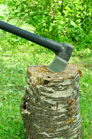Modern ax in stump of  birch in natureの写真素材