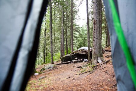 Russia, Republic of Altai. Very beautiful pictures of nature in Altai Altai High snow-capped mountains, fast, noisy mountain rivers, beautiful meadows and fields and woods - the nature of mountain Altaiの写真素材