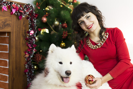 Girl in red brunette dress and white dog meet Christmas at the Christmas treeの写真素材
